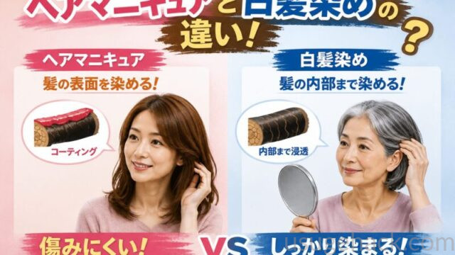 ヘアマニキュアと白髪染めの違いを図解でわかりやすくした様子