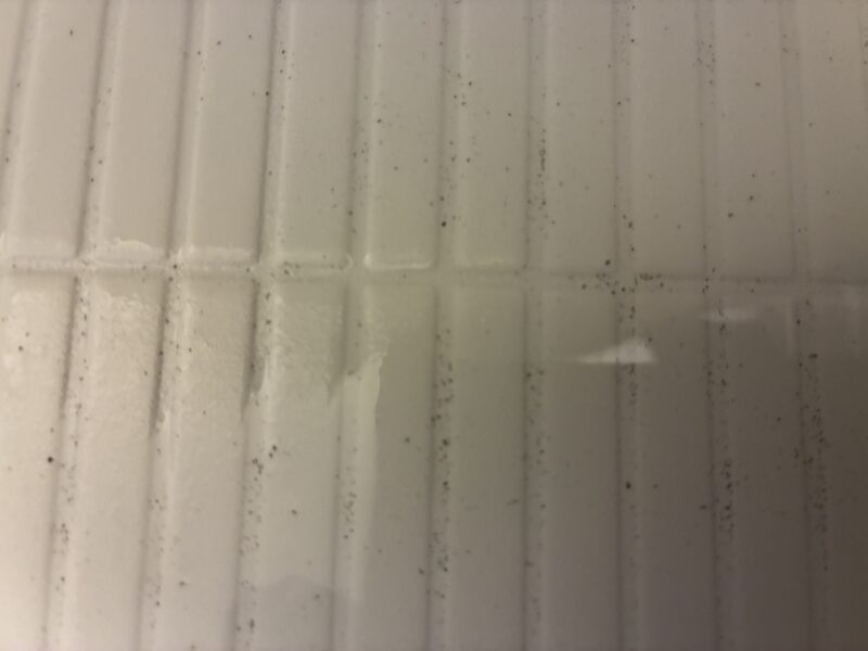 洗髪後の黒い粉（シャンプーで浮き上がった様子）