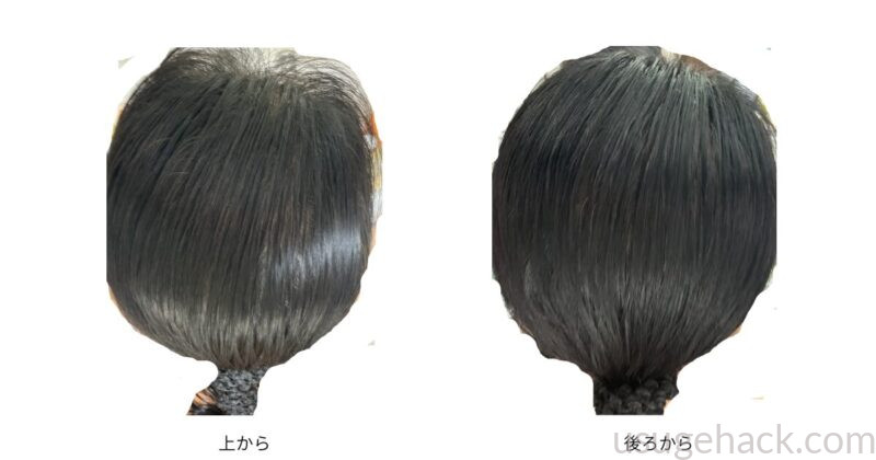 髪の毛を一か所でくくった状態、上から(左)、後ろ(左)から撮った様子