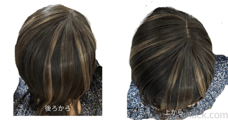 プリシラのちょびっと白髪隠しウィッグを装着した後ろ姿と上から見たところ。ブラックメッシュのハイライトが目立ち、人工毛特有のツヤが出ている