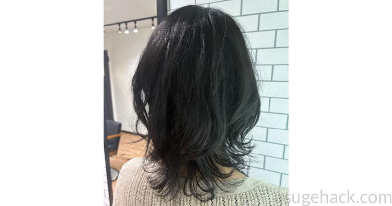 リネアストリアのヘアピースを付けている様子