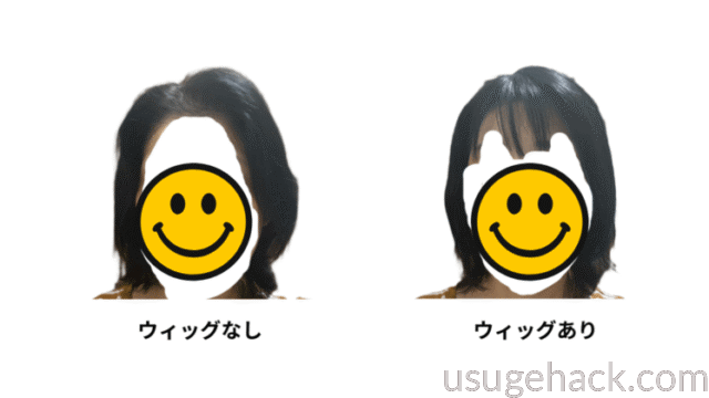 リネアストリアのウィッグを2か月使った本音レビュー｜良かった点・気になる点