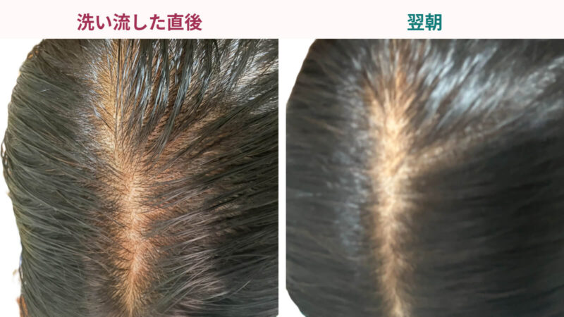 マイナチュレ カラートリートメント:焦ったものの、翌朝にはしっかり元通りに!